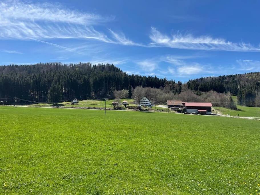 Idyllisches Ferienapartment Allgaeu Bad Groenenbach Exterior photo
